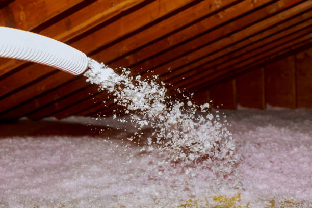 Best Insulation for Specific Applications in Cedar Springs, MI