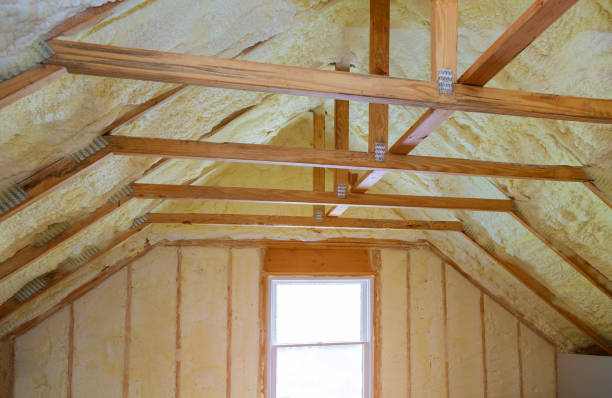 Best Energy Efficiency Insulation in Cedar Springs, MI