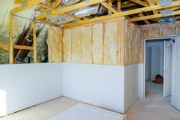 Best DIY Insulation Kits and Guidance in Cedar Springs, MI