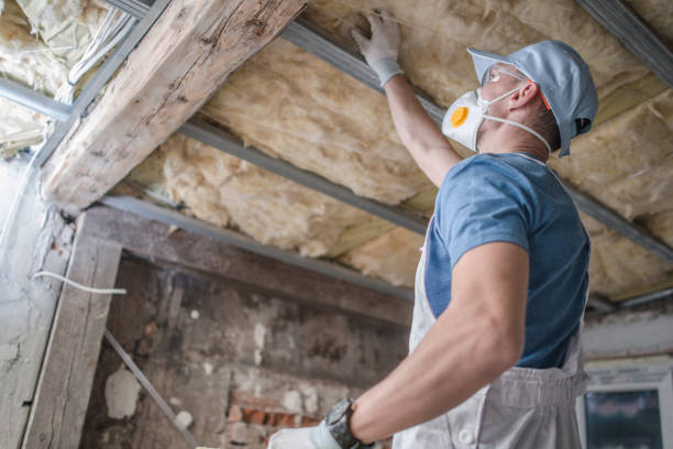 Best Specialized Insulation Services in Cedar Springs, MI