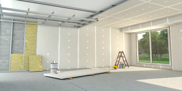 Best Cellulose Insulation in Cedar Springs, MI
