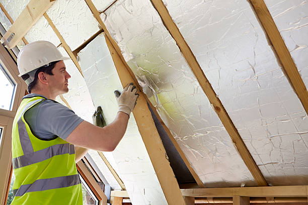 Best Fiberglass Insulation in Cedar Springs, MI