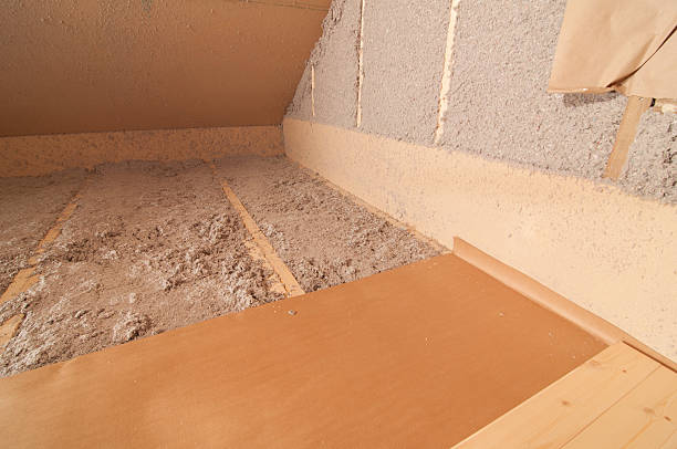Best Residential Insulation in Cedar Springs, MI