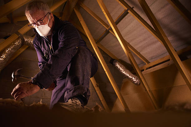 Best Geographic-Specific Insulation Services in Cedar Springs, MI